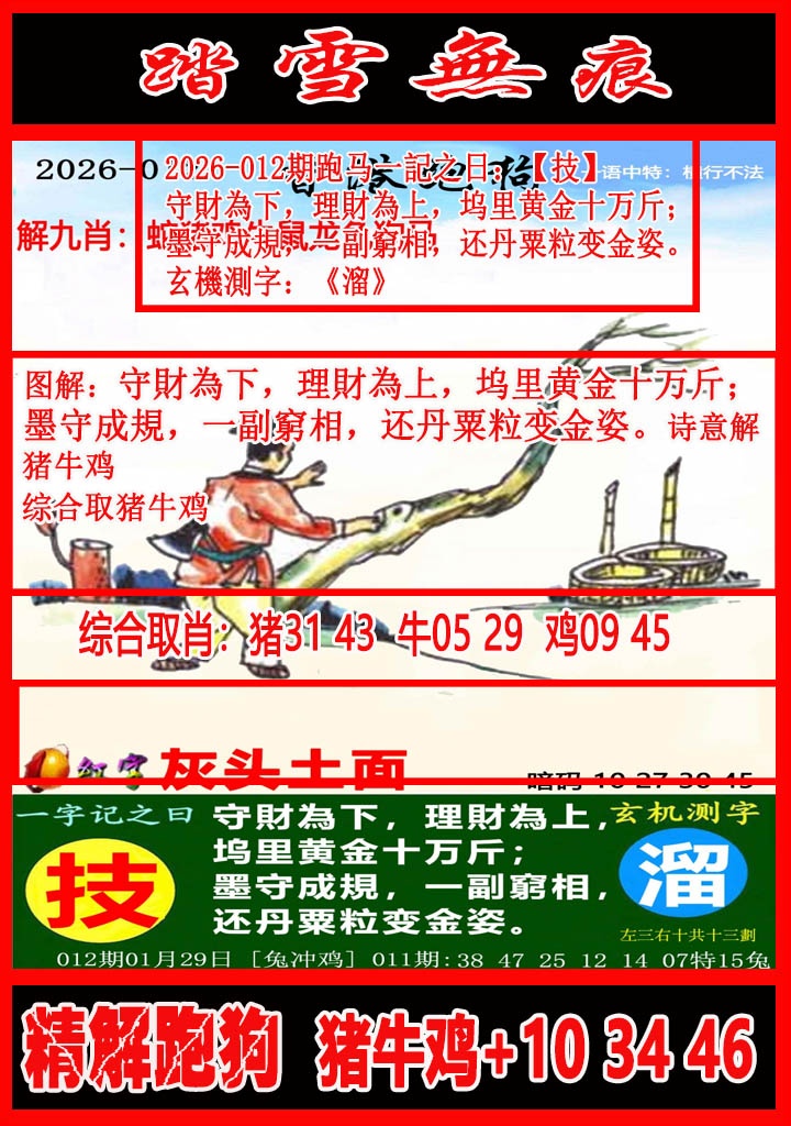 012期踏雪无痕解跑狗[图]